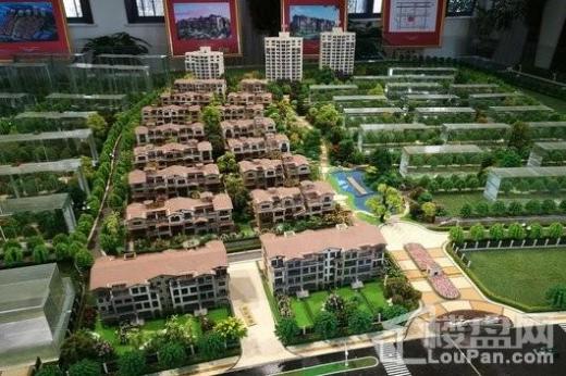 园林式住宅小区 景泉印象绿化率为33%